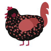 A black and red chicken with a speckle pattern