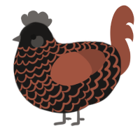 A sable and russet chicken with a lace pattern