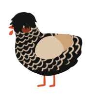 A black and beige chicken with a lace pattern