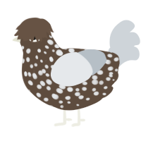 A bark and mist chicken with a speckle pattern
