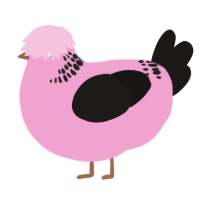 A pink and sable chicken with a neck-band pattern