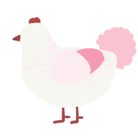 A white and rose chicken with a half-lace pattern