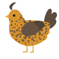 A orange and bark chicken with a speckle pattern