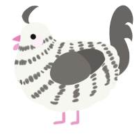 A white and grey chicken with a bar pattern