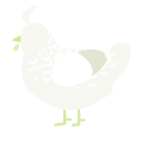 A white chicken with a half-lace pattern