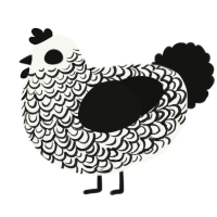 A white and black chicken with a double-lace pattern