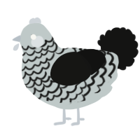 A silver and black chicken with a lace pattern