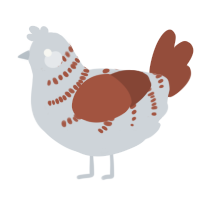 A mist and russet chicken with a half-bar pattern