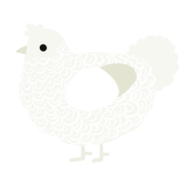 A white chicken with a double-lace pattern
