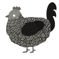 A ash and sable chicken with a double-lace pattern