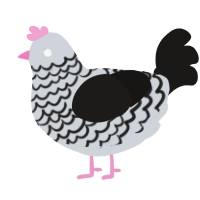 A mist and sable chicken with a lace pattern