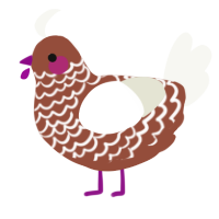 A russet and white chicken with a lace pattern