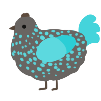 A grey and aqua chicken with a speckle pattern