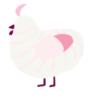 A white and rose chicken with a bar pattern