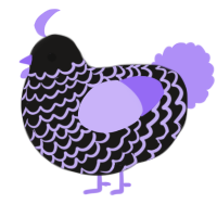 A sable and lilac chicken with a lace pattern