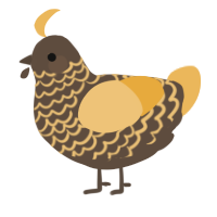 A bark and honey chicken with a lace pattern