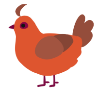 A vermilion and russet chicken