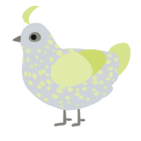 A mist and lemon chicken with a speckle pattern