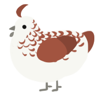 A white and russet chicken with a half-lace pattern
