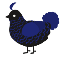 A sable and navy chicken with a lace pattern