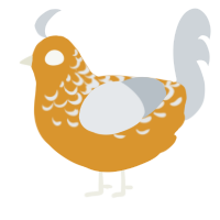 A orange and mist chicken with a half-lace pattern