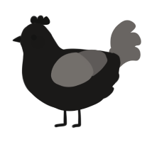 A sable and grey chicken