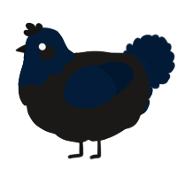 A sable and tumblr chicken with a head pattern