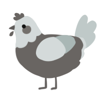 A grey and silver chicken with a head pattern
