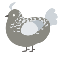 A ash and mist chicken with a half-lace pattern