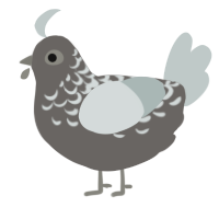A grey and silver chicken with a half-lace pattern