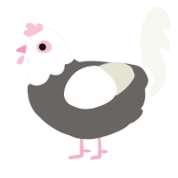 (unnamed), a grey and white chicken with a head pattern