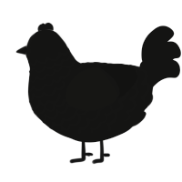 A black chicken with a lace pattern