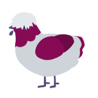 A mist and wine chicken with a head pattern