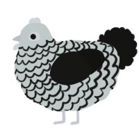 A silver and black chicken with a lace pattern