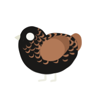 Trouble, a sable and brown chicken with a half-lace pattern