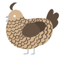 A beige and bark chicken with a lace pattern