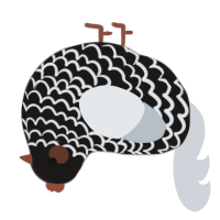A sable and mist chicken with a lace pattern