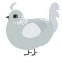A silver and mist chicken with a neck-speckle pattern