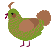 A chartreuse and brown chicken with a lace pattern