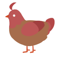 A brown and red chicken with a head pattern