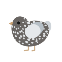 Bird, a grey and mist chicken with a speckle pattern