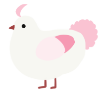 A white and rose chicken