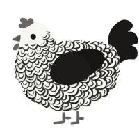 A white and sable chicken with a double-lace pattern