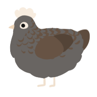 A grey and bark chicken with a half-lace pattern