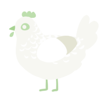 A white chicken with a half-lace pattern