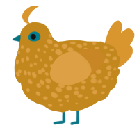 A ochre and orange chicken with a speckle pattern