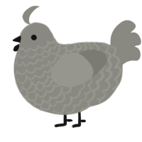 A ash chicken with a lace pattern