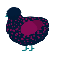 A tumblr and wine chicken with a speckle pattern