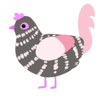 A grey and rose chicken with a bar pattern