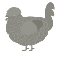 A ash chicken with a lace pattern